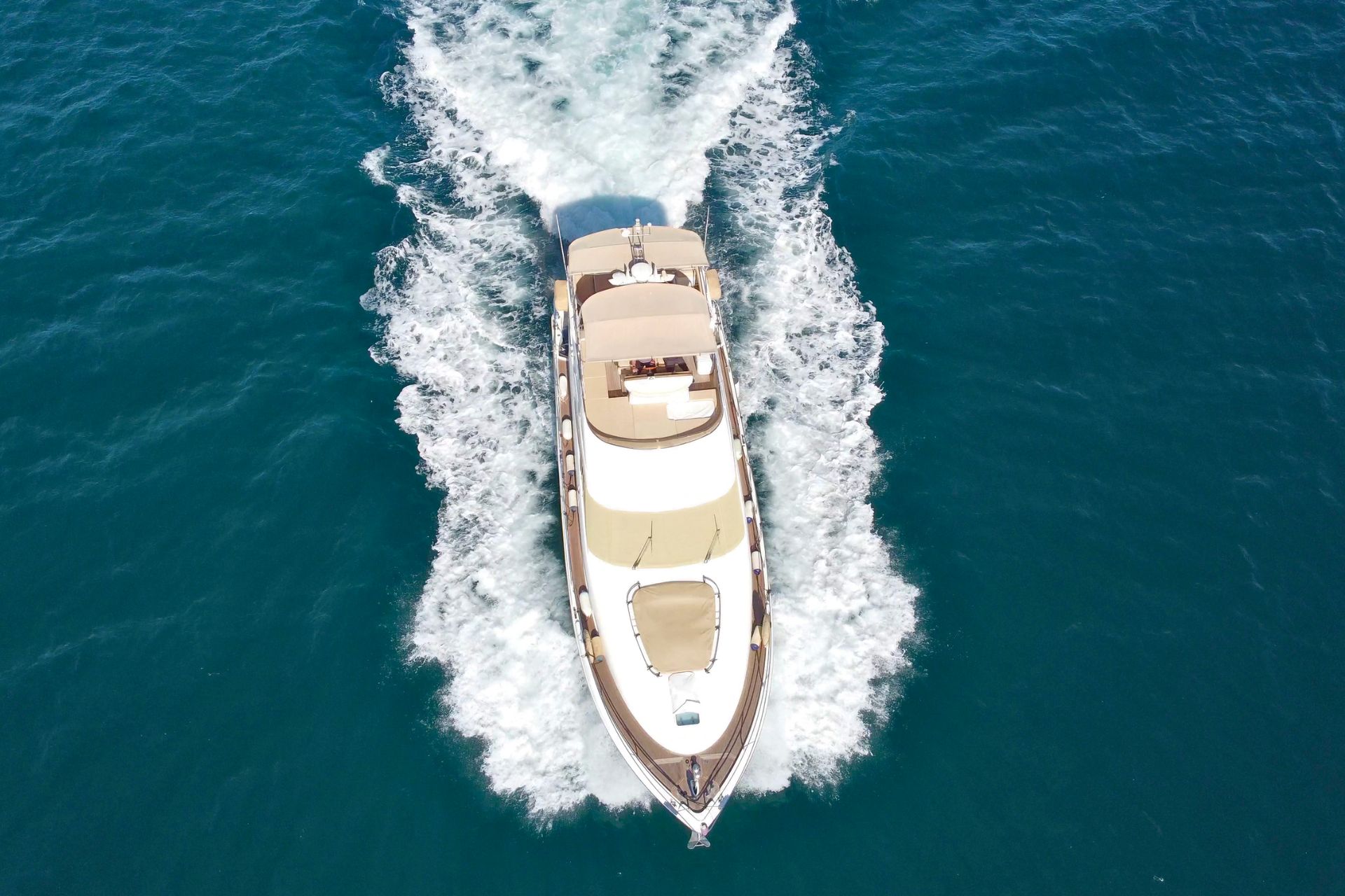 serenity rose charter