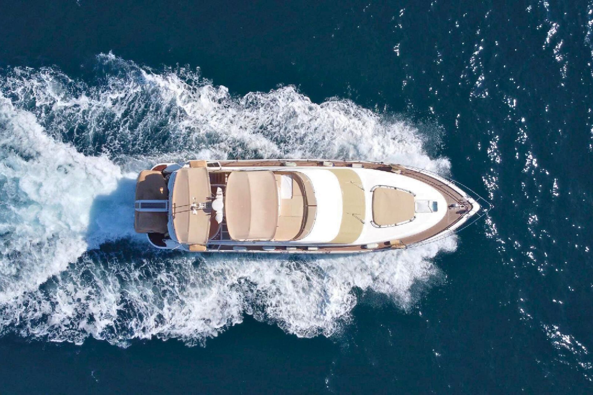 serenity rose charter